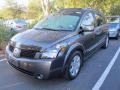 2006 Smoke Metallic Nissan Quest 3.5 SE  photo #4