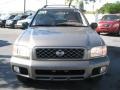 Bronzed Gray Metallic - Pathfinder SE Photo No. 3