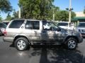 2001 Bronzed Gray Metallic Nissan Pathfinder SE  photo #10