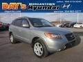 2008 Platinum Sage Hyundai Santa Fe Limited 4WD  photo #1