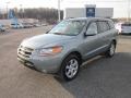 2008 Platinum Sage Hyundai Santa Fe Limited 4WD  photo #3