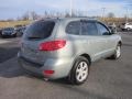 2008 Platinum Sage Hyundai Santa Fe Limited 4WD  photo #6