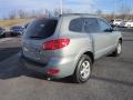 2008 Platinum Sage Hyundai Santa Fe GLS 4WD  photo #6