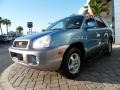 2004 Arctic Blue Hyundai Santa Fe GLS  photo #8