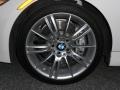 2010 BMW 3 Series 335i Sedan Wheel and Tire Photo
