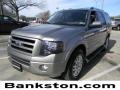 2009 Vapor Silver Metallic Ford Expedition Limited  photo #1