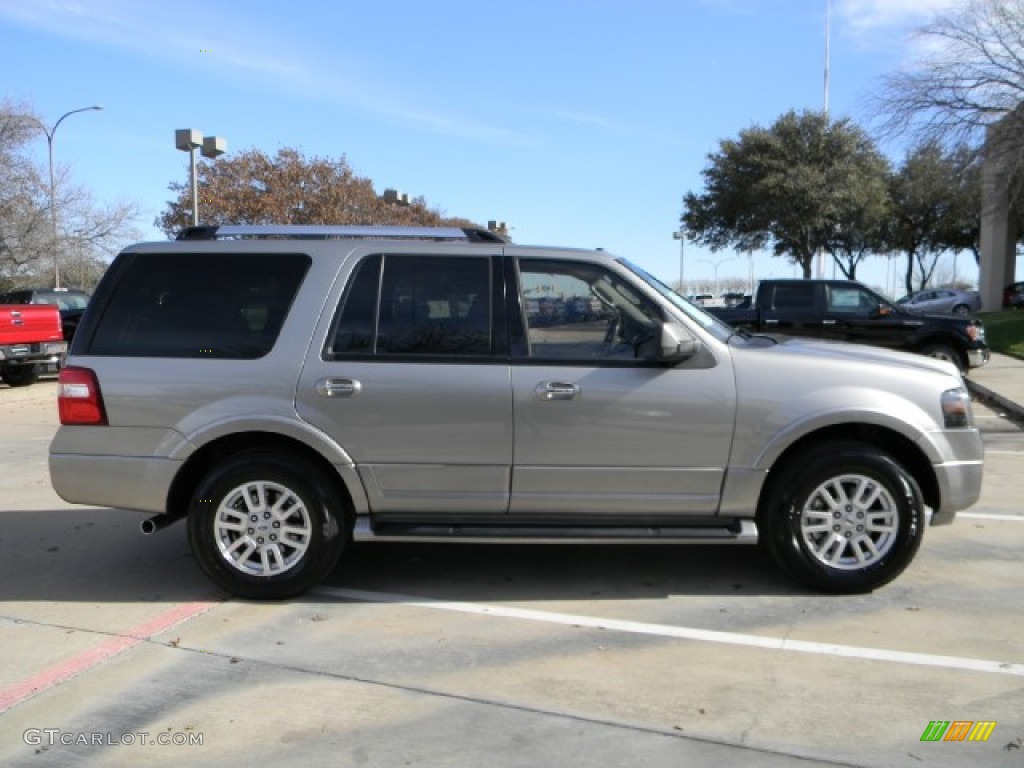 Vapor Silver Metallic 2009 Ford Expedition Limited Exterior Photo #58994731