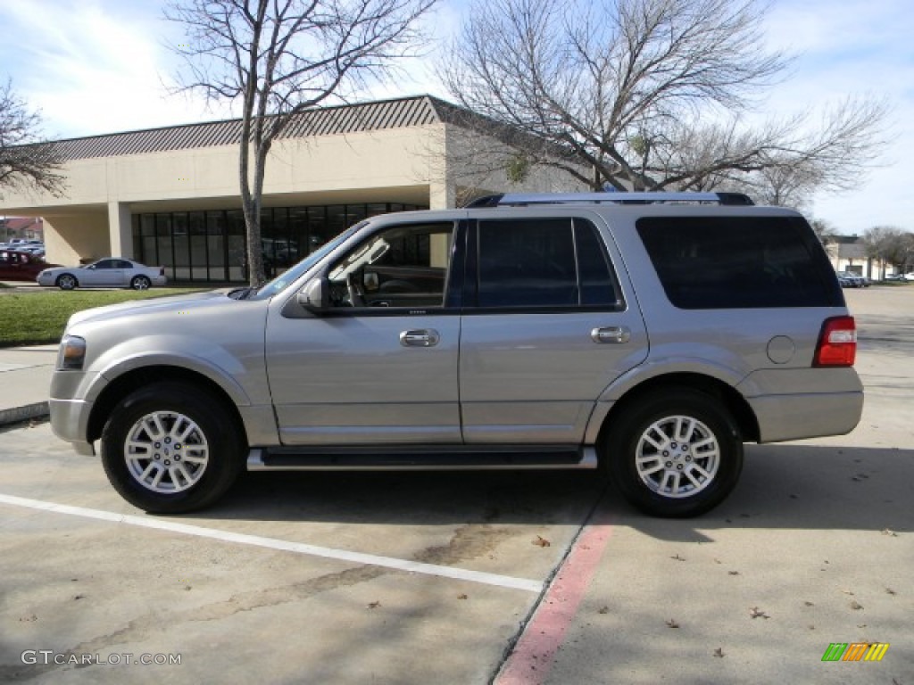 Vapor Silver Metallic 2009 Ford Expedition Limited Exterior Photo #58994752