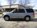 Vapor Silver Metallic 2009 Ford Expedition Limited Exterior