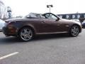 Tigereye Mica - SC 430 Pebble Beach Edition Photo No. 3