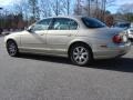Topaz Metallic - S-Type 4.0 Photo No. 4