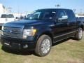 2011 Tuxedo Black Metallic Ford F150 Platinum SuperCrew  photo #3