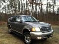 FS - Spruce Green Metallic Ford Expedition (1999)