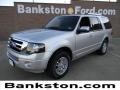 2012 Ingot Silver Metallic Ford Expedition Limited  photo #1