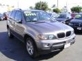 Sterling Grey Metallic - X5 3.0i Photo No. 2