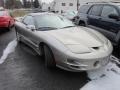 Pewter Metallic - Firebird Trans Am Coupe Photo No. 1