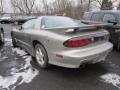 Pewter Metallic - Firebird Trans Am Coupe Photo No. 3