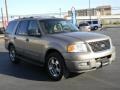 Arizona Beige Metallic - Expedition XLT Photo No. 3
