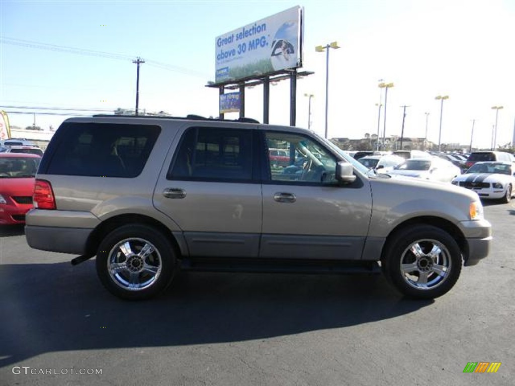 2003 Expedition XLT - Arizona Beige Metallic / Medium Parchment photo #4