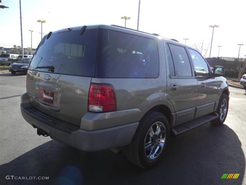 2003 Expedition XLT - Arizona Beige Metallic / Medium Parchment photo #5