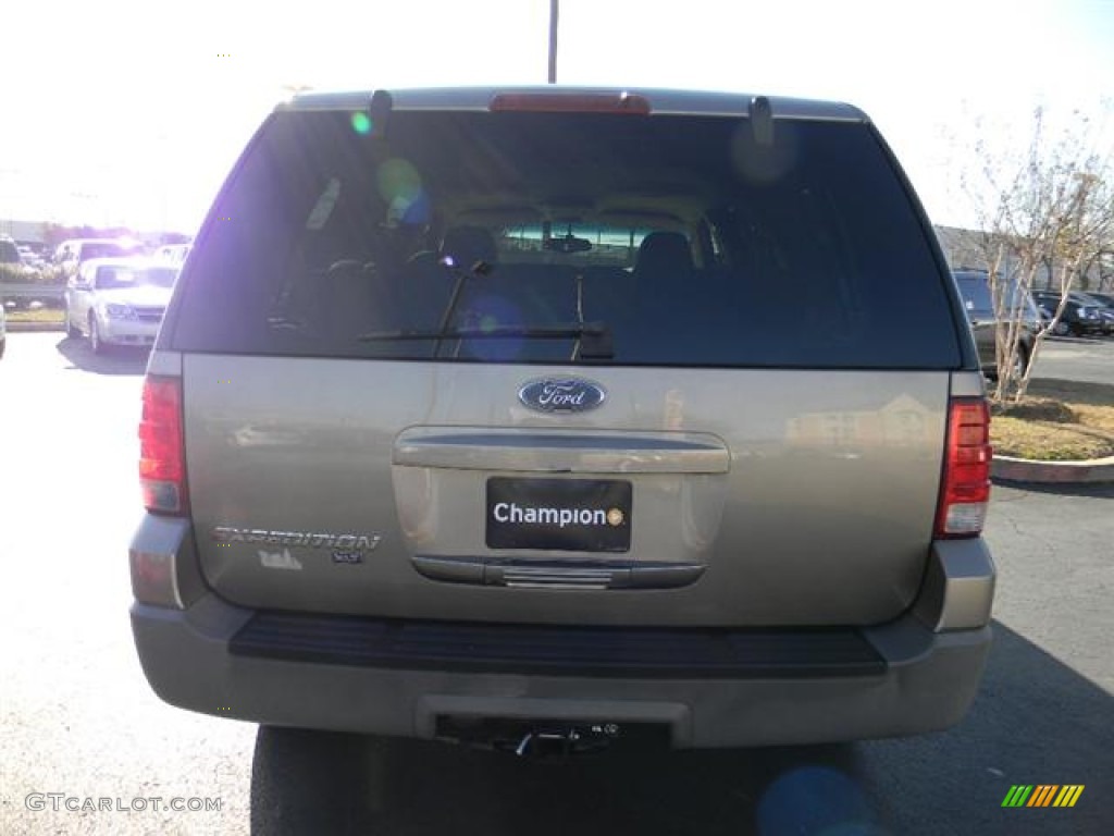 2003 Expedition XLT - Arizona Beige Metallic / Medium Parchment photo #6