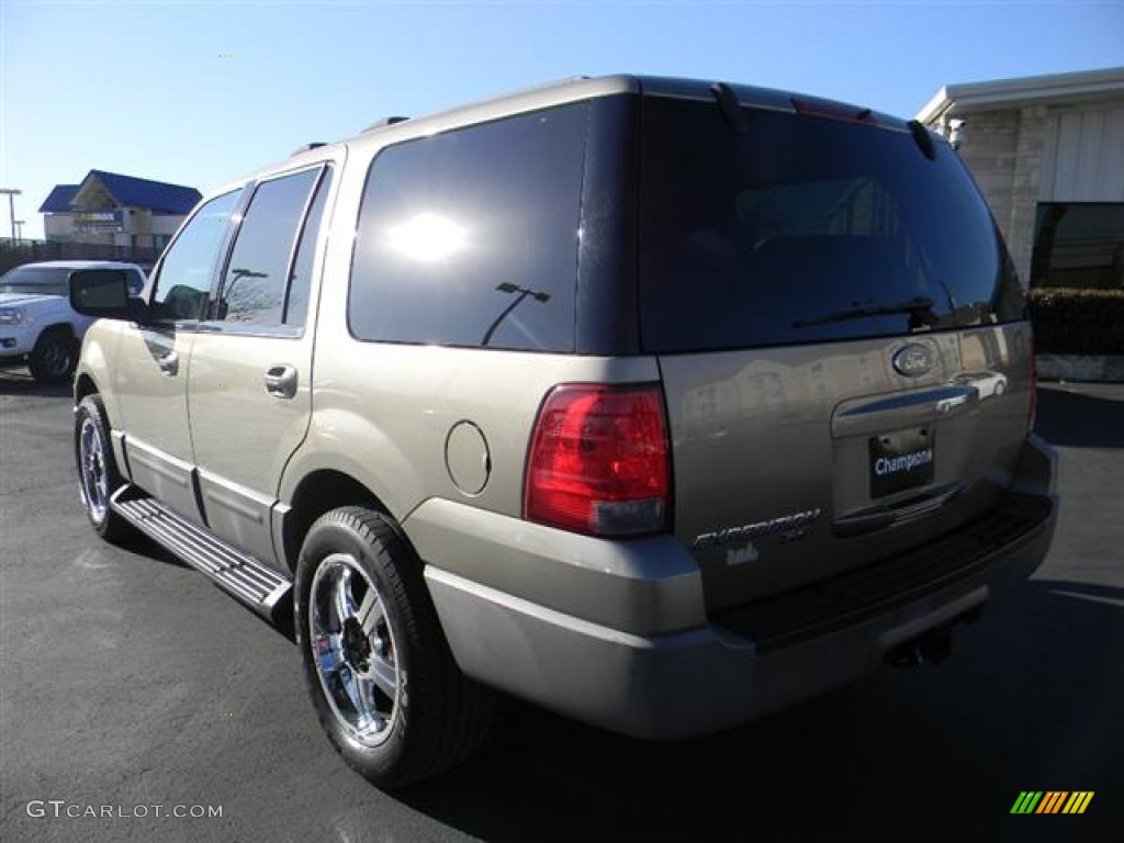 2003 Expedition XLT - Arizona Beige Metallic / Medium Parchment photo #8