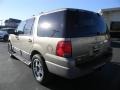 Arizona Beige Metallic - Expedition XLT Photo No. 8