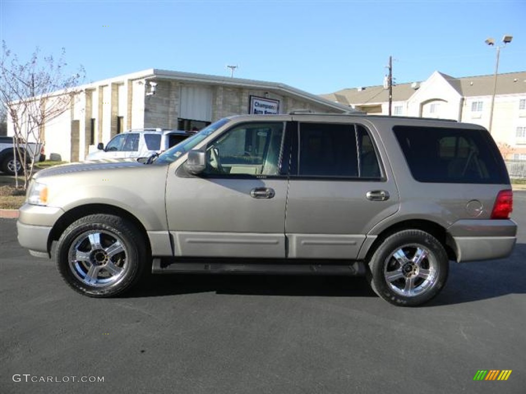 2003 Expedition XLT - Arizona Beige Metallic / Medium Parchment photo #9