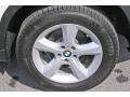 Alpine White - X5 3.0si Photo No. 13