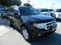 Ebony Black - Escape XLT V6 Photo No. 3