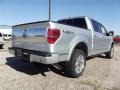 2012 Ingot Silver Metallic Ford F150 Platinum SuperCrew 4x4  photo #6