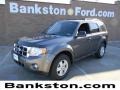 2012 Sterling Gray Metallic Ford Escape XLT  photo #1