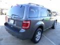 2012 Sterling Gray Metallic Ford Escape XLT  photo #3