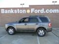 2012 Sterling Gray Metallic Ford Escape XLT  photo #6