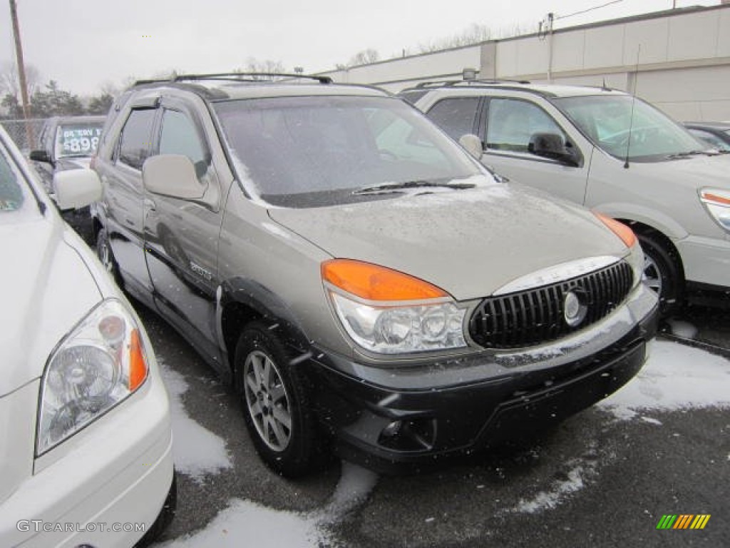 2002 Rendezvous CXL AWD - Pewter Metallic / Dark Gray photo #1