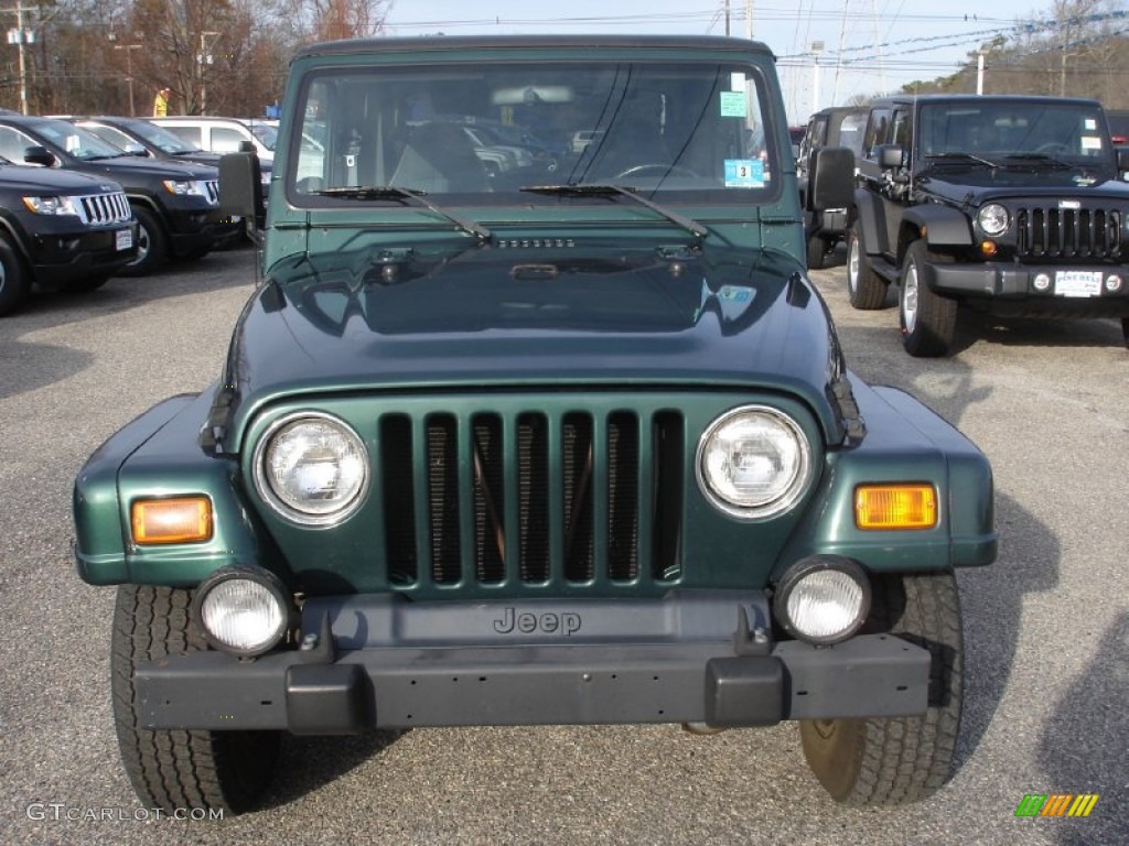 2001 Wrangler Sahara 4x4 - Forest Green / Camel/Dark Green photo #2