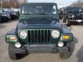 Forest Green - Wrangler Sahara 4x4 Photo No. 2