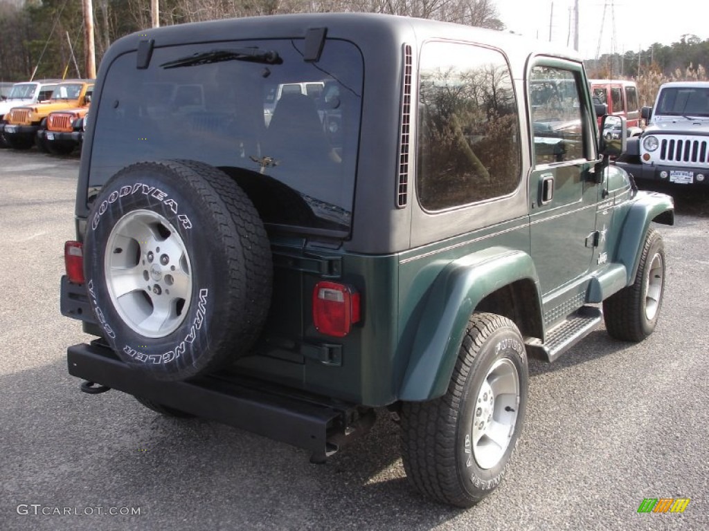 2001 Wrangler Sahara 4x4 - Forest Green / Camel/Dark Green photo #4