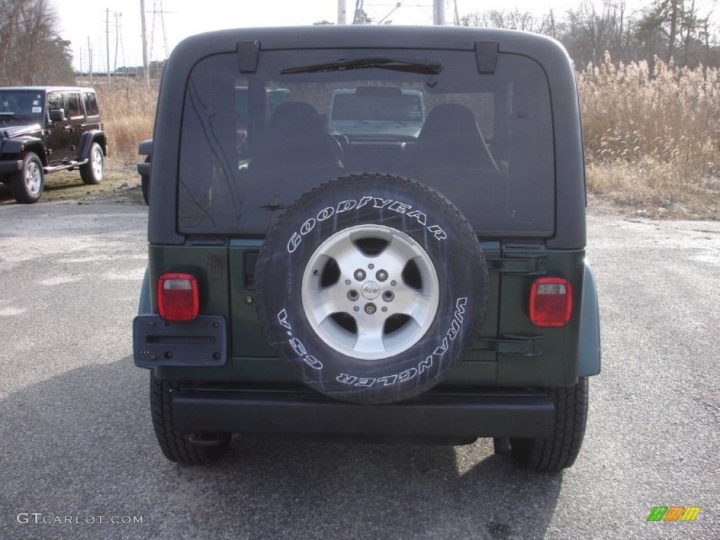 2001 Wrangler Sahara 4x4 - Forest Green / Camel/Dark Green photo #5