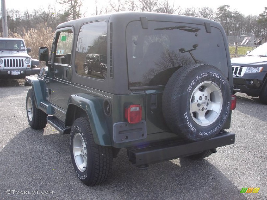 2001 Wrangler Sahara 4x4 - Forest Green / Camel/Dark Green photo #6