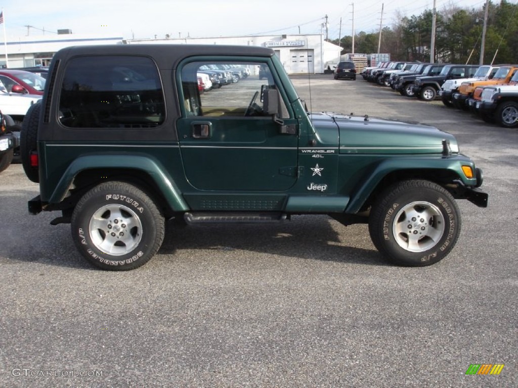 2001 Wrangler Sahara 4x4 - Forest Green / Camel/Dark Green photo #7