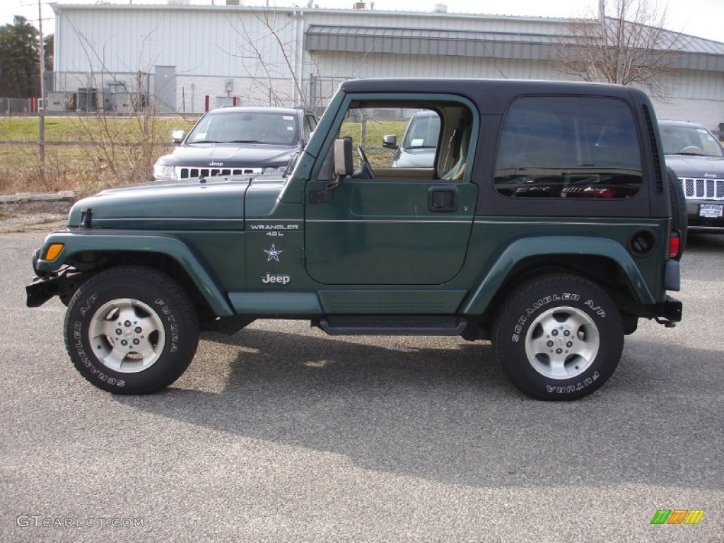 2001 Wrangler Sahara 4x4 - Forest Green / Camel/Dark Green photo #9