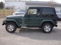 Forest Green - Wrangler Sahara 4x4 Photo No. 9