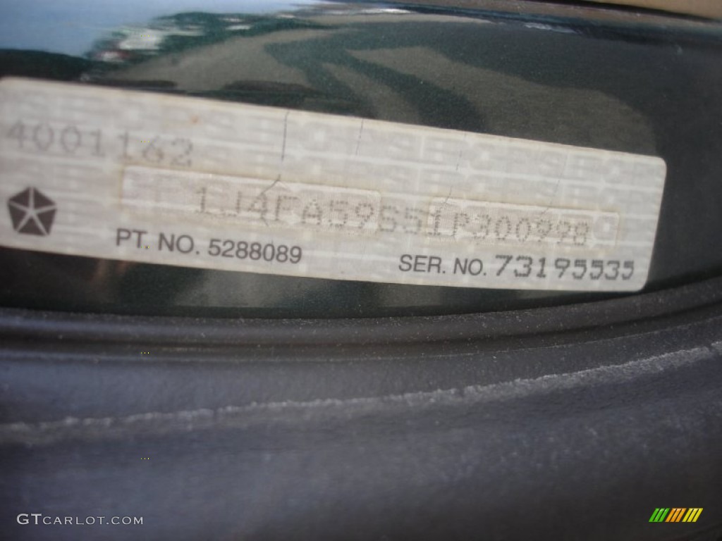 2001 Wrangler Sahara 4x4 - Forest Green / Camel/Dark Green photo #15