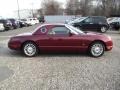 Merlot Metallic 2004 Ford Thunderbird Deluxe Roadster Exterior
