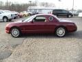 Merlot Metallic 2004 Ford Thunderbird Deluxe Roadster Exterior