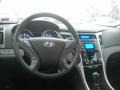 Iridescent Silver Blue Metallic - Sonata GLS Photo No. 13