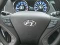 Iridescent Silver Blue Metallic - Sonata GLS Photo No. 19