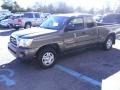 Pyrite Mica - Tacoma SR5 Access Cab Photo No. 5