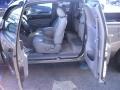 Pyrite Mica - Tacoma SR5 Access Cab Photo No. 11
